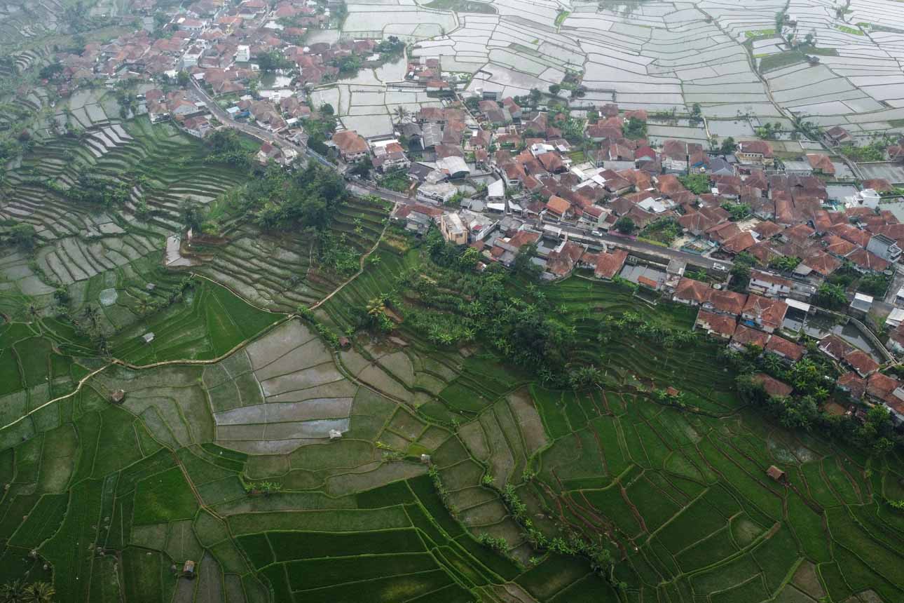 Menuju Penetapan Lahan Pertanian yang Berkelanjutan
