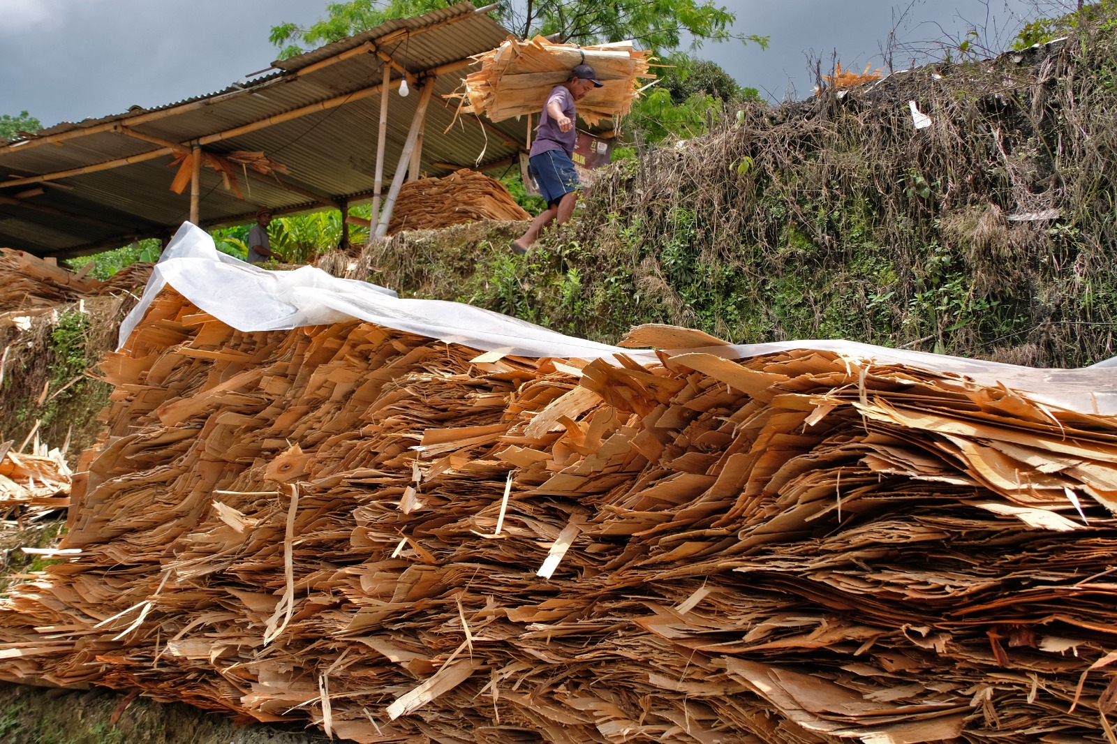 Nilai ekspor plywood meningkat