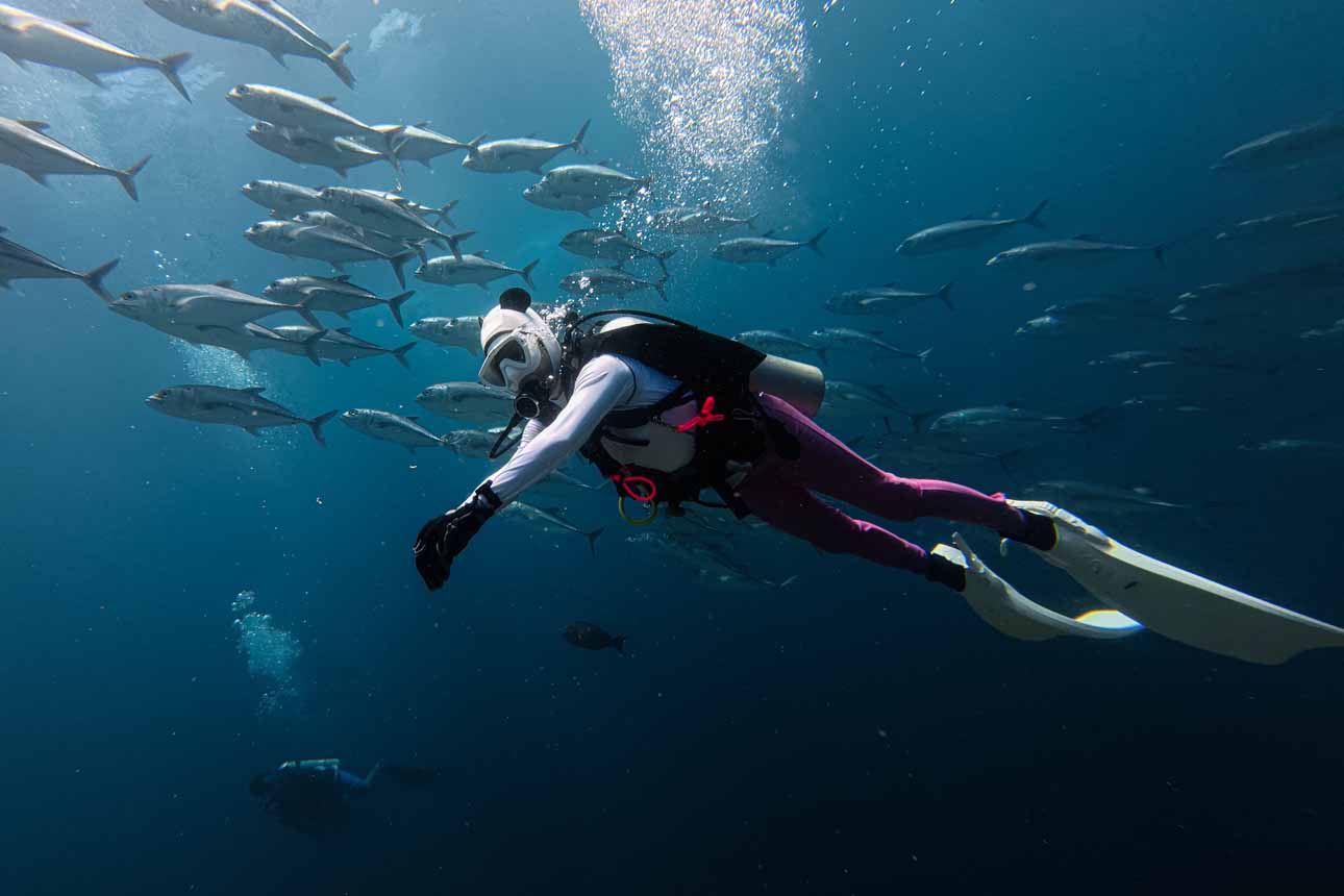 Menjelajahi Keindahan Bawah Laut Pulau Tomia