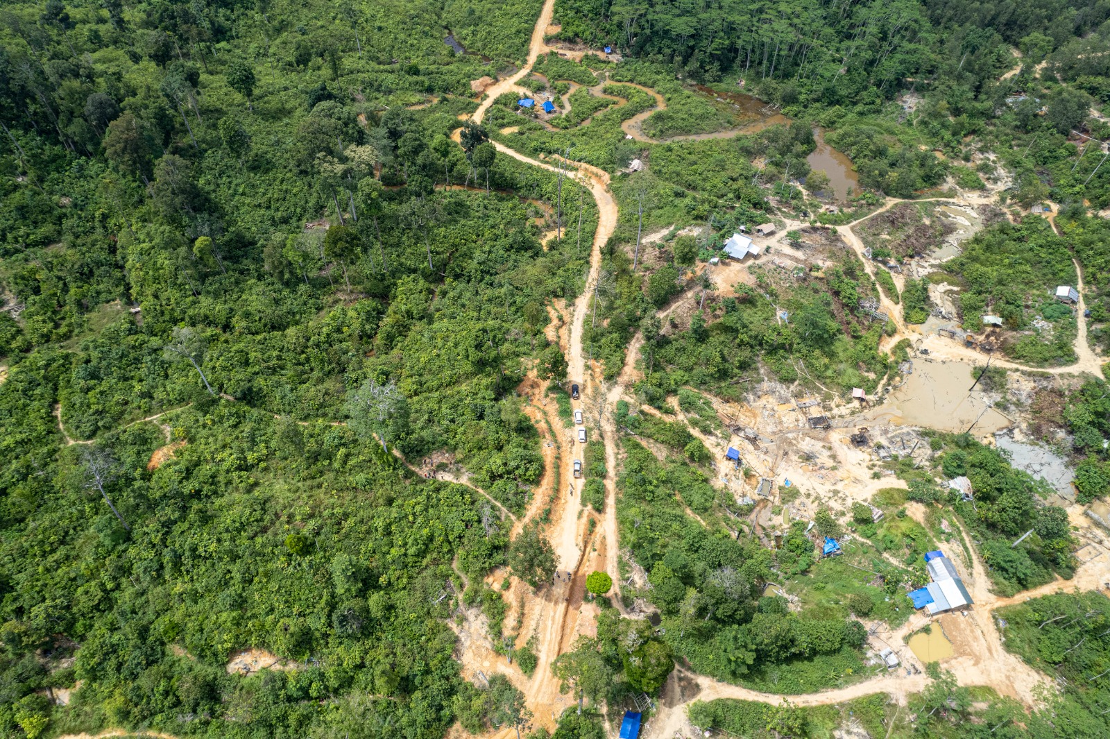 Tambang minyak ilegal ancam Hutan Harapan