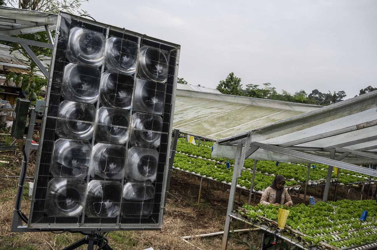Penerapan Teknologi Energi Surya pada Pertanian Hidroponik