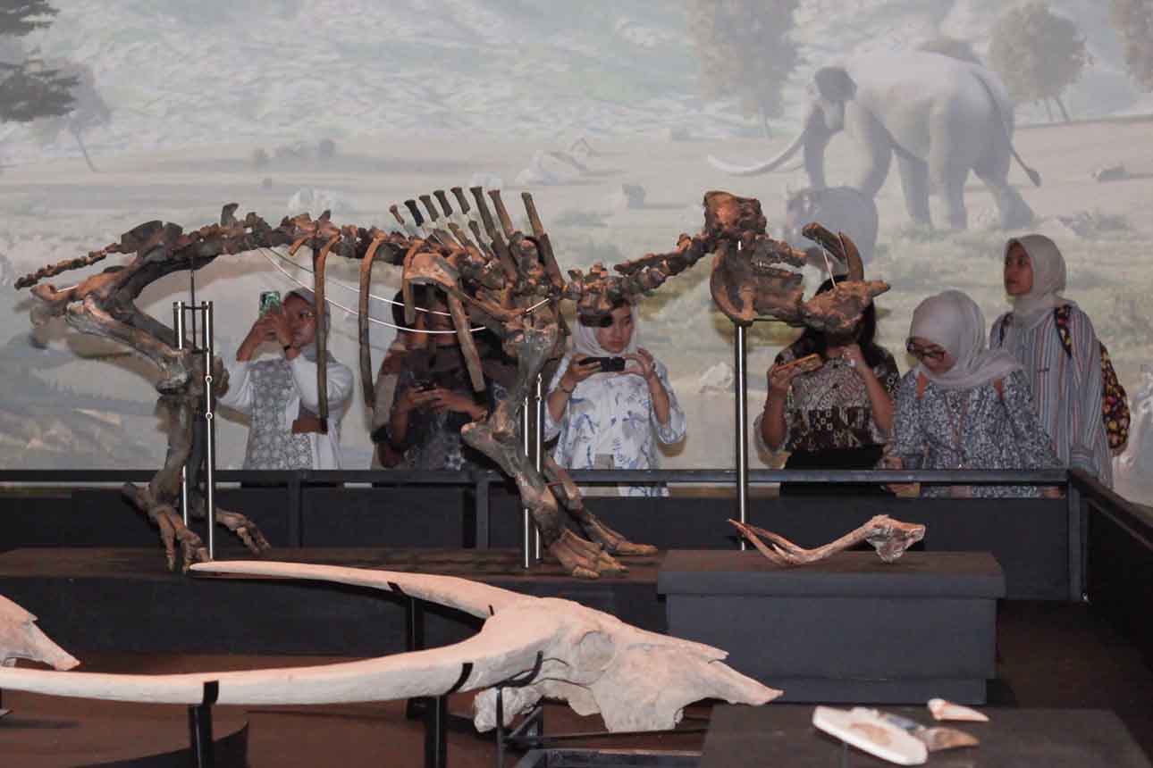 Museum Nasional Pamerkan Fosil Repatriasi Koleksi Eugene Dubois