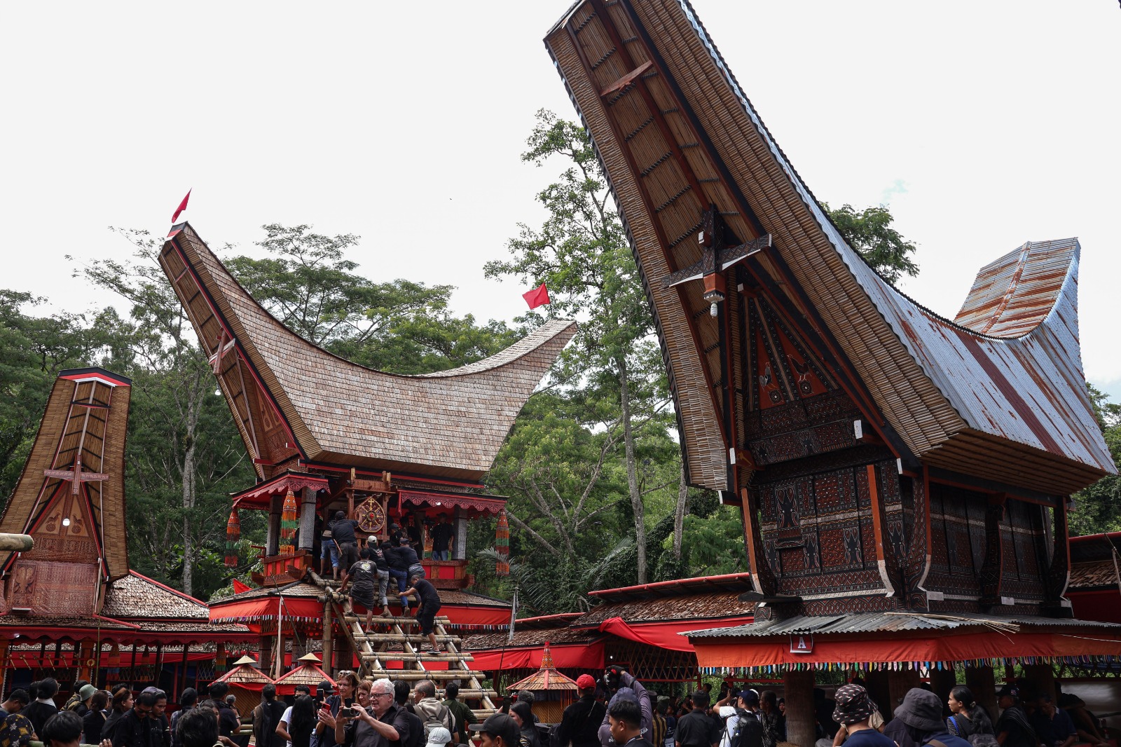 Prosesi Ma'pasonglo di Toraja Utara