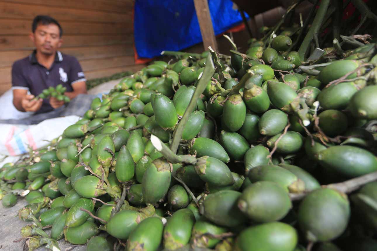 Perekonomian Warga Korban Bencana di Gayo Lues Berangsur Pulih