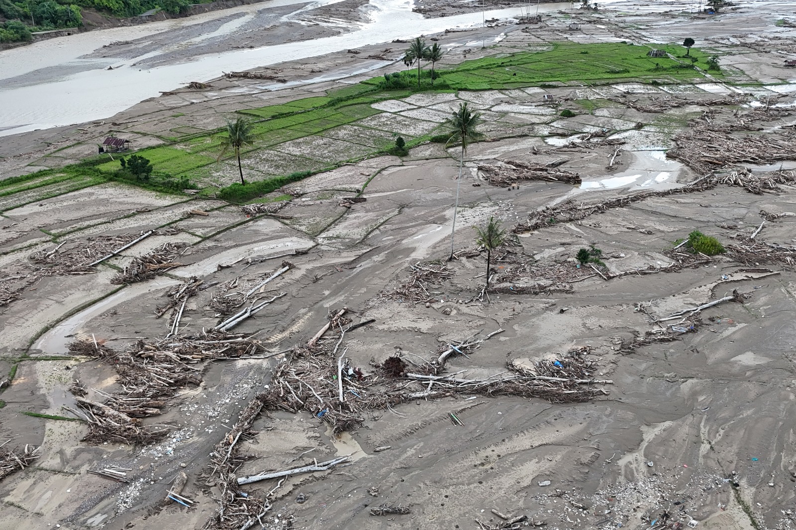 Kerusakan area persawahan di Gayo Lues