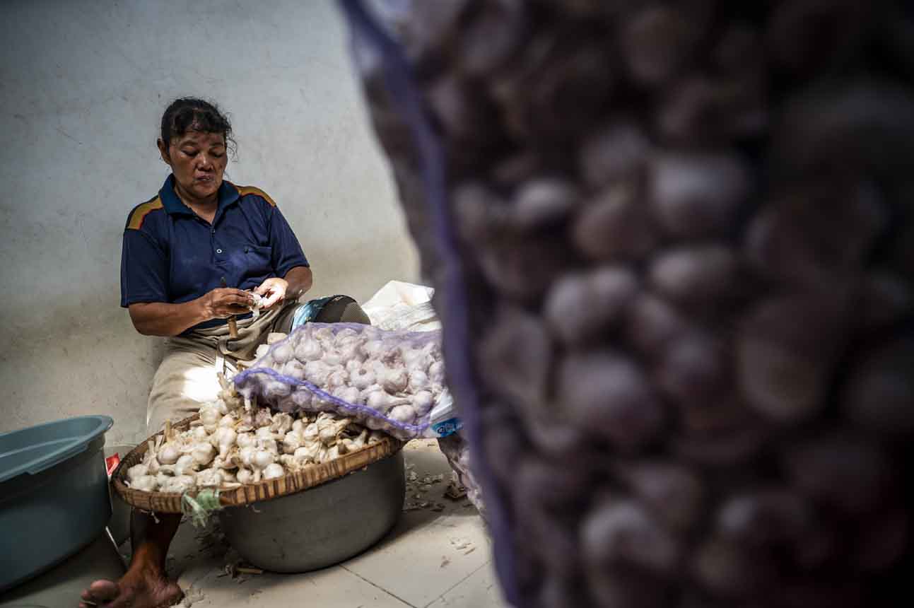 Pemerintah Fokus Swasembada Bawang Putih untuk Kurangi Impor