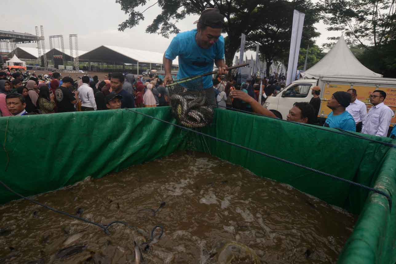 Hari Desa Nasional 2026 Dimeriahkan Pameran, Pasar Murah, dan Pembagian Satu Ton Ikan Lele Gratis
