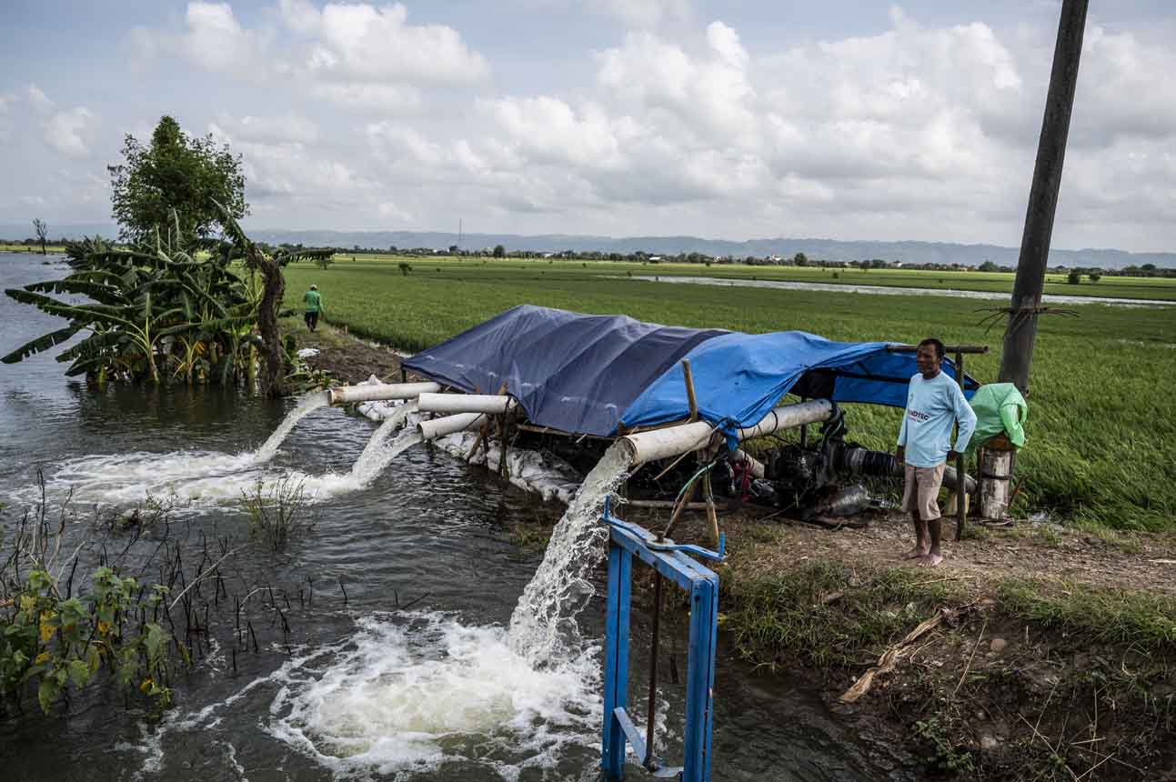 Sawah di Kabupaten Kudus Terdampak Banjir Akibat Cuaca Ekstrem