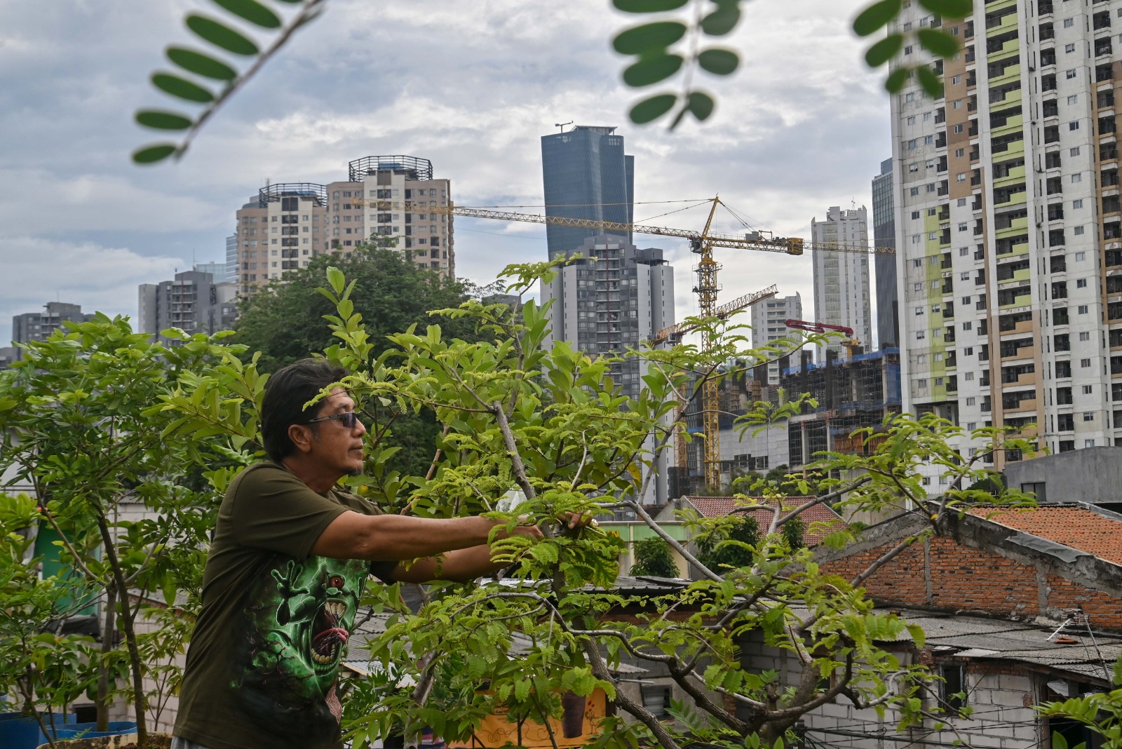 Pertanian perkotaan untuk ketahanan pangan di Jakarta