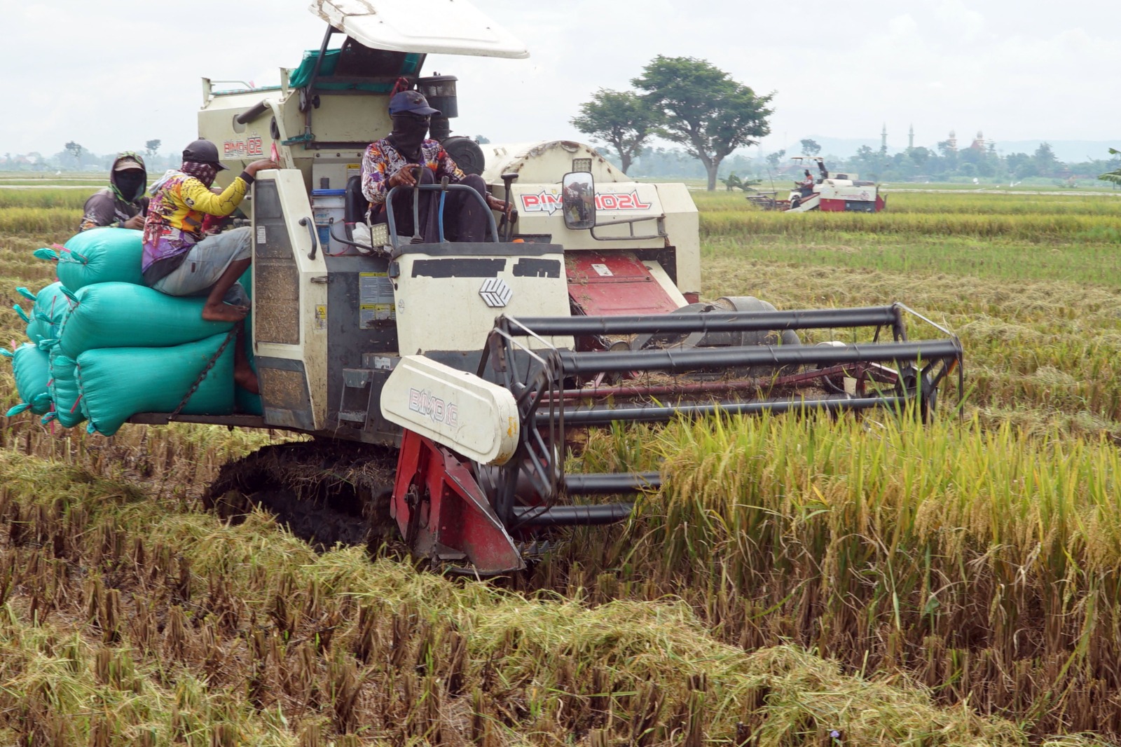 Jasa mesin pemanen padi di Tulungagung