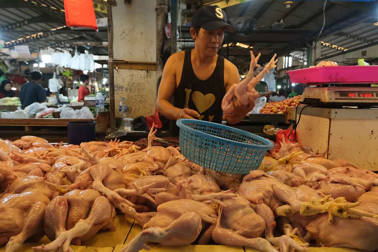 Bapanas Pastikan Pasokan Ayam Aman dan Cukup untuk Hari Besar Keagamaan