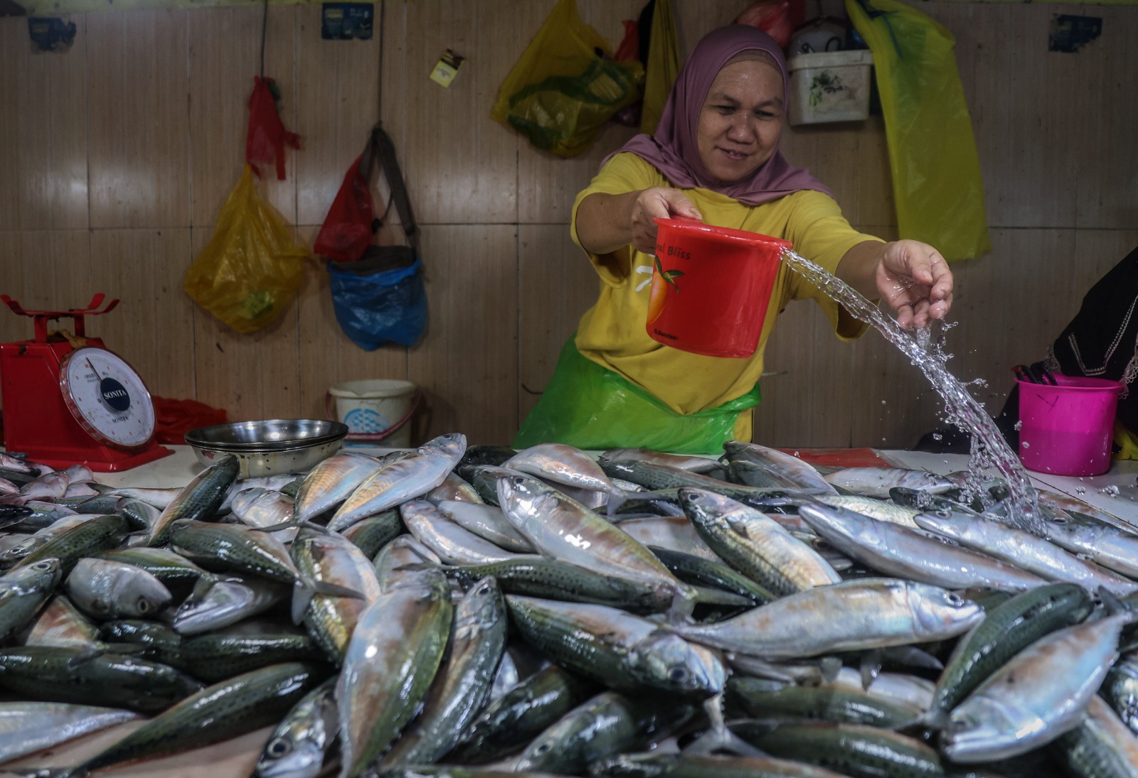 Harga ikan nasional tetap stabil selama Ramadhan 1447 H