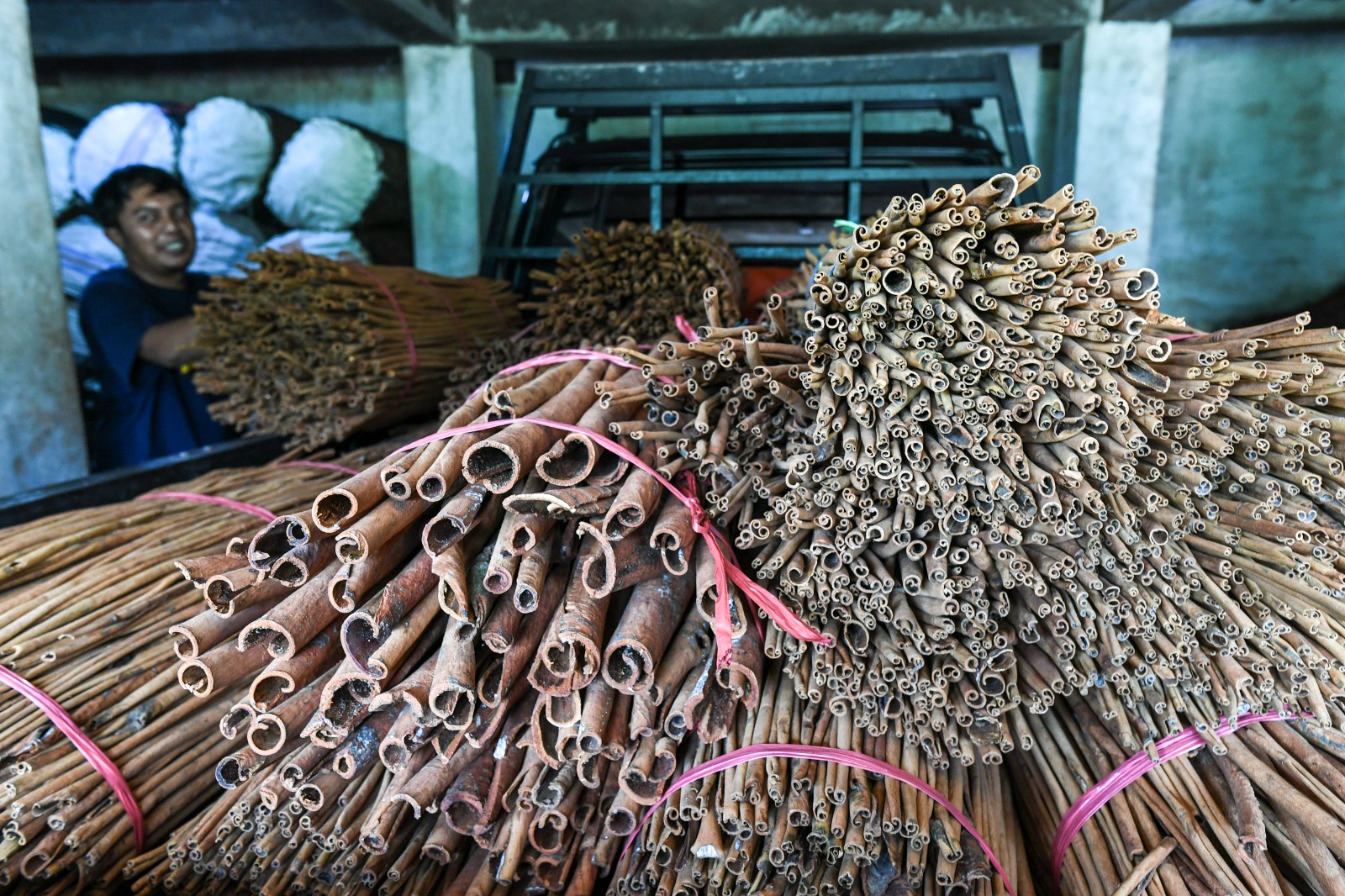 Usaha kulit kayu manis manis mulai pulih pascabencana