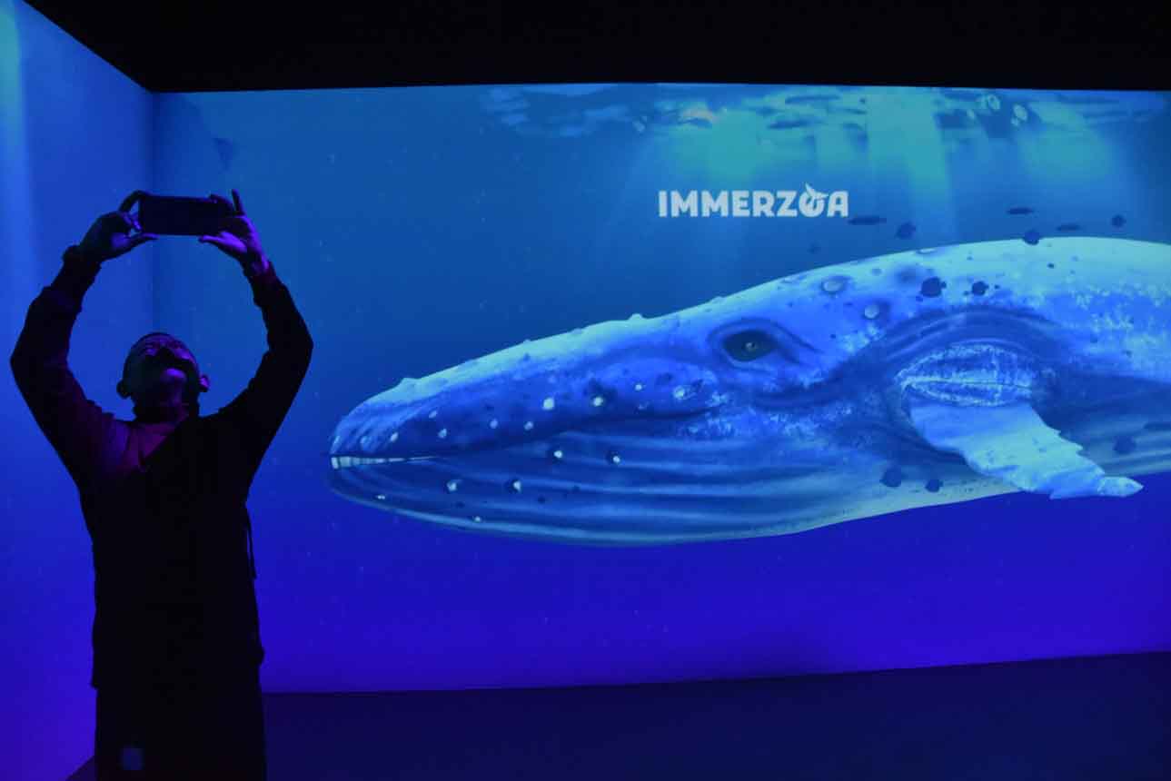 Peluncuran Inovasi Teknologi Digital Immerzoa di Museum Zoologi