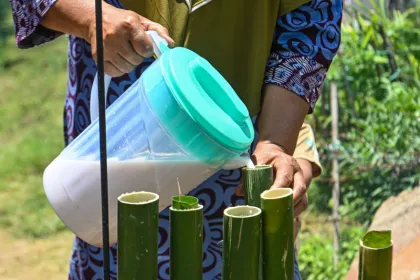 Aroma Lemang dari Desa Agusen
