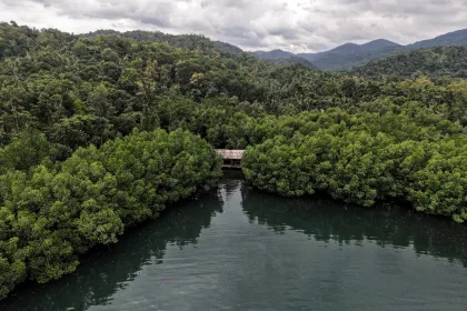 Target proyek karbon biru Indonesia pada 2027