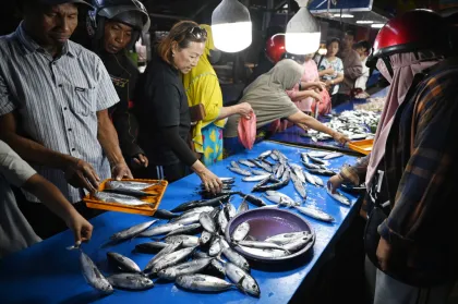 Kenaikan harga ikan laut di Palu