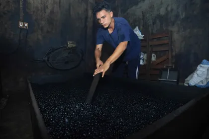 Produksi bubuk kopi tradisional Aceh