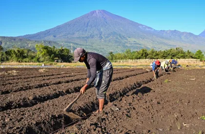 Upah buruh tani di Sembalun NTB