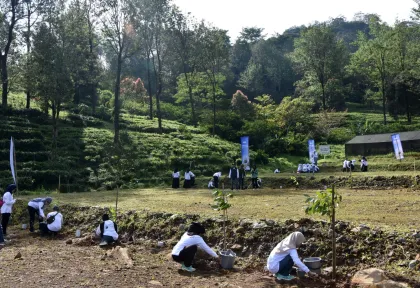 Penanaman pohon di kawasan Puncak Bogor