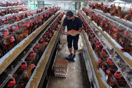 BPS Mencatat Perubahan Indeks Harga Perdagangan Besar (IHPB) Umum Nasional