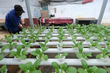 Program Pembinaan Keterampilan Kerja bagi Warga Binaan Rutan Kendari