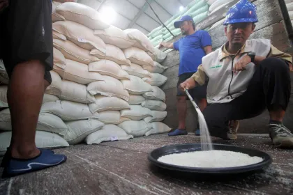 Stok Cadangan Beras 4,5 Juta Ton, Kementerian Pertanian Pastikan Pangan Aman