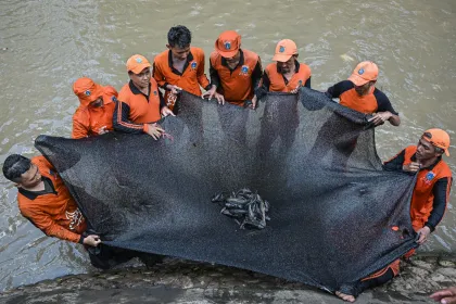 DKI Jakarta rencanakan bentuk PJLP khusus tangani ikan sapu-sapu