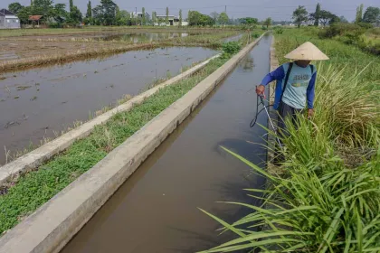 Pemerintah Siapkan Anggaran Hadapi Ancaman Kekeringan