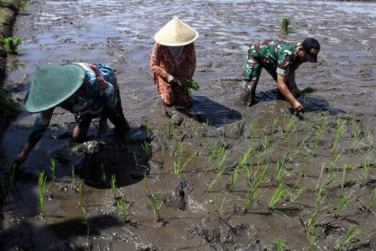 Dorong Produktivitas, Jawa Timur Gelar Gerakan Tanam Serentak