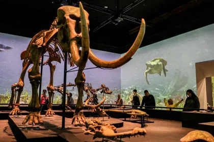 Museum Nasional Indonesia Tawarkan Tarif Spesial di Hari Ulang Tahun