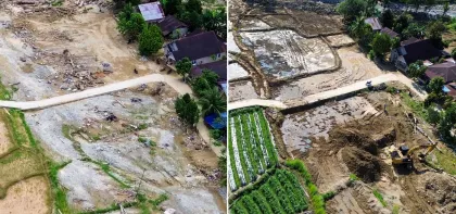 Pascabencana, Sawah di Padang Kembali Dipulihkan