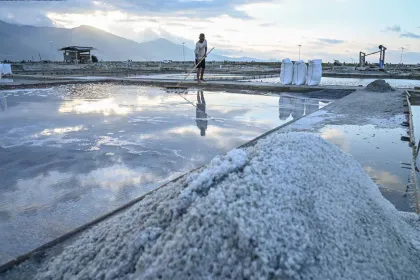 Petambak Garam Palu Kembali Produksi Seiring Cuaca Membaik