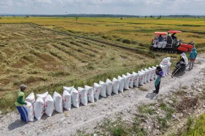Serap Hasil Petani, Bulog Jaga Stabilitas Pangan Nasional