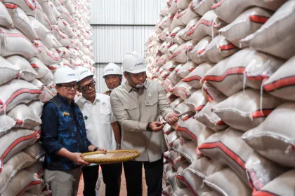 Wakil Menteri Pertanian tinjau gudang Bulog di Ciamis
