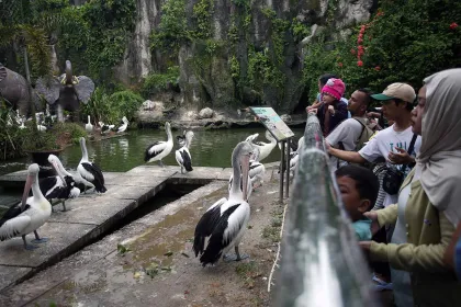 Libur Hari Buruh Internasional, Taman Margasatwa Ragunan Ramai Diserbu Pengunjung