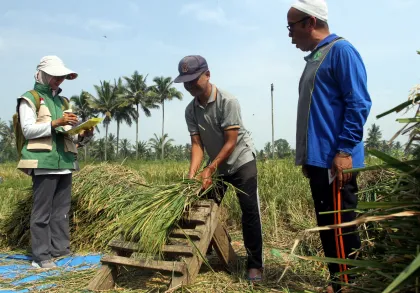 Pendampingan petani untuk antisipasi dampak El Nino