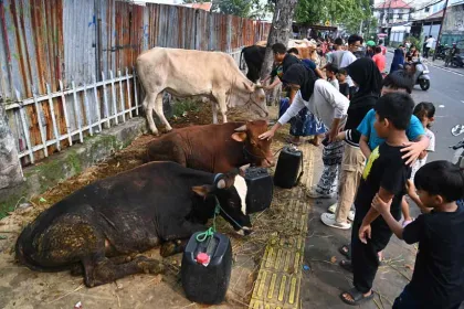 Pemerintah Jakarta Larang Pedagang Hewan Kurban Gunakan Trotoar