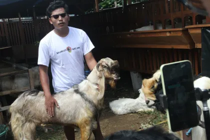 Pemanfaatan ruang digital untuk penjualan hewan kurban