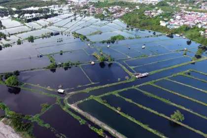 Tambak terdampak banjir rob di Medan