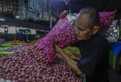 Kementan Gandeng Petani dan Pemda Stabilkan Pasokan Bawang Merah Menjelang Idul Adha
