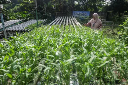 Pemanfaatan lahan tidur untuk ketahanan pangan