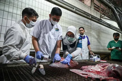 Pemeriksa Kesehatan dan Juleha Diterjunkan Pemprov DKI saat Idul Adha