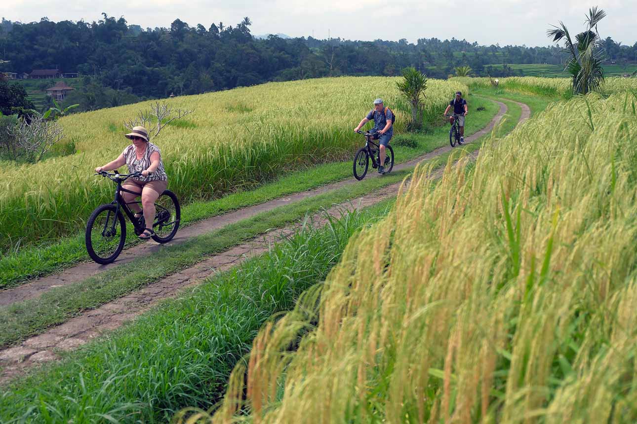Jatiluwih Raih Penghargaan Asia Berkat Pengembangan Pariwisata Berkelanjutan