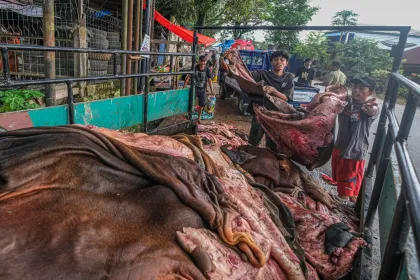 Penjualan kulit sapi kurban di Kendari
