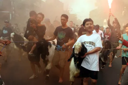 Tradisi pawai hewan kurban di Malang