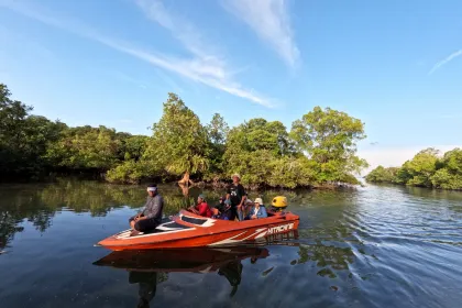 Hutan mangrove Sigending Berau