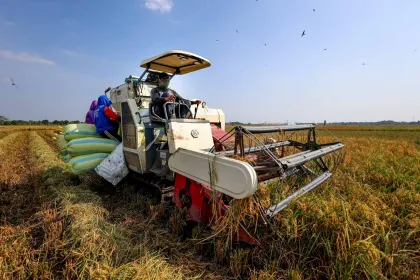Luas Panen Padi Nasional Menurun pada April 2026