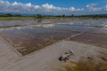 Pemulihan Sektor Pertanian Pascabanjir di Kendari