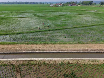 Berita Foto : Percepatan Program Irigasi Daerah Perkuat Sektor Pertanian